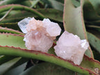 Natural Lilac Spirit Amethyst Clusters x 12 From Boekenhouthoek, South Africa - Toprock Gemstones and Minerals 