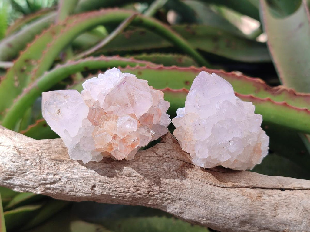 Natural Lilac Spirit Amethyst Clusters x 12 From Boekenhouthoek, South Africa - Toprock Gemstones and Minerals 