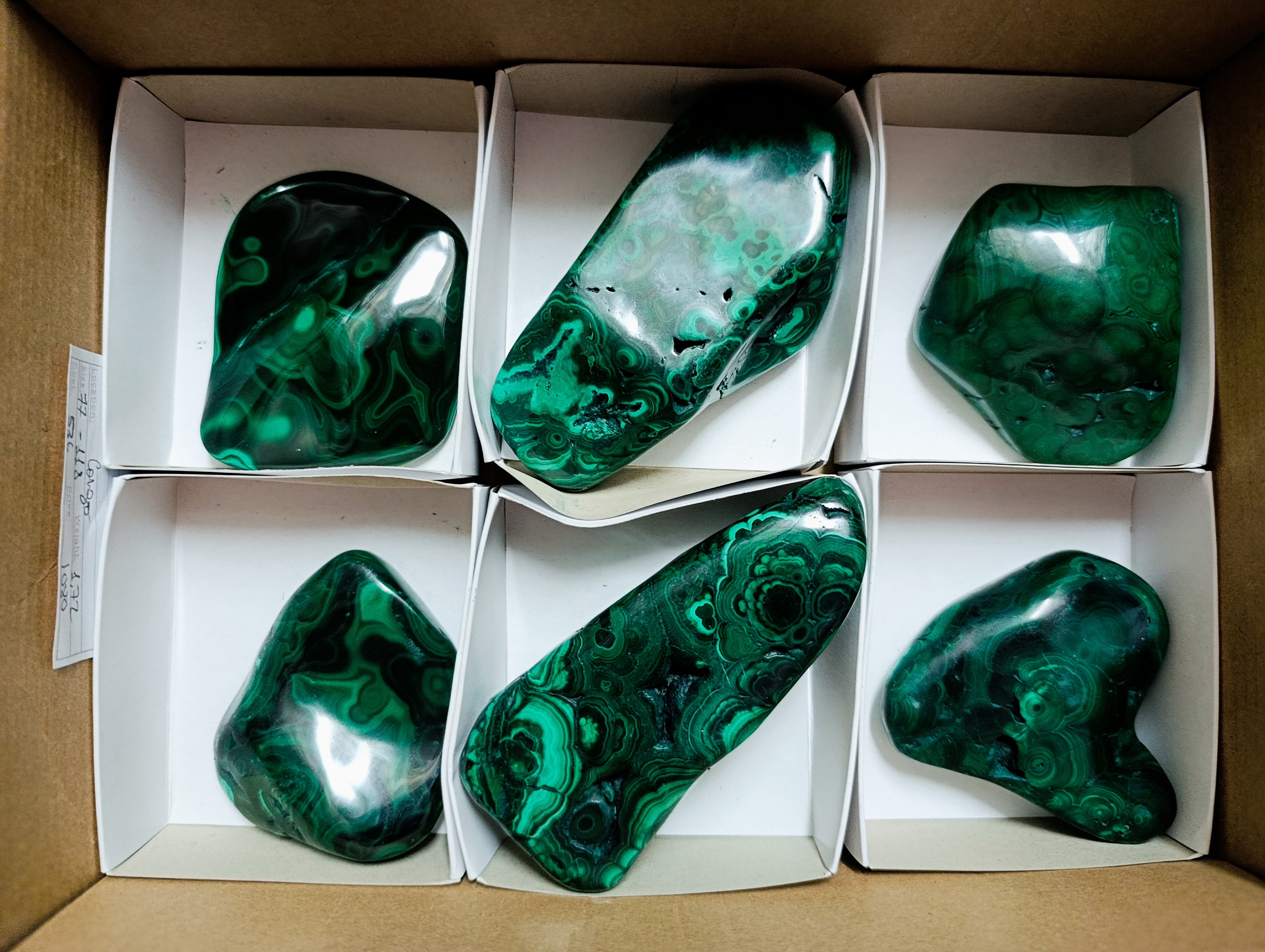 Polished Flower Banded Malachite Free Forms x 6 From Congo - Toprock Gemstones and Minerals 