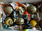 Polished Septerye Spheres x 6 From Mahajanga, Madagascar - Toprock Gemstones and Minerals 
