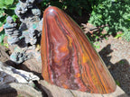Polished XXL Banded Tiger Iron Standing Display Piece x 1 From South Africa - Toprock Gemstones and Minerals 