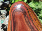 Polished XXL Banded Tiger Iron Standing Display Piece x 1 From South Africa - Toprock Gemstones and Minerals 