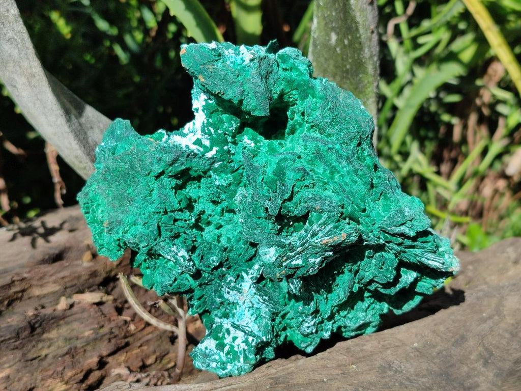 Natural Rare Malachite Pseudomorph Specimens with Associated x 2 From Kolwezi, Congo - Toprock Gemstones and Minerals 