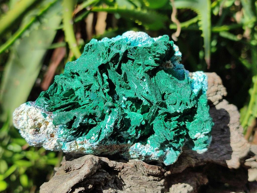 Natural Rare Malachite Pseudomorph Specimens with Associated x 2 From Kolwezi, Congo - Toprock Gemstones and Minerals 
