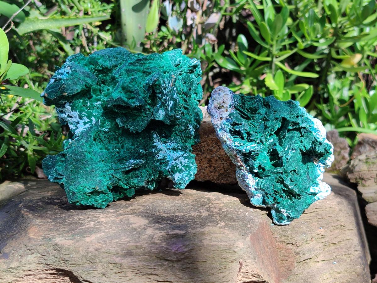 Natural Rare Malachite Pseudomorph Specimens with Associated x 2 From Kolwezi, Congo - Toprock Gemstones and Minerals 