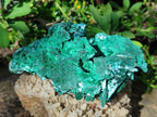 Natural Rare Malachite Pseudomorph Specimens with Associated x 2 From Kolwezi, Congo - Toprock Gemstones and Minerals 