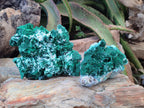 Natural Rare Malachite Pseudomorph Specimens with Associated x 2 From Kolwezi, Congo - Toprock Gemstones and Minerals 