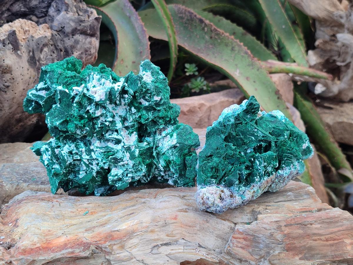 Natural Rare Malachite Pseudomorph Specimens with Associated x 2 From Kolwezi, Congo - Toprock Gemstones and Minerals 