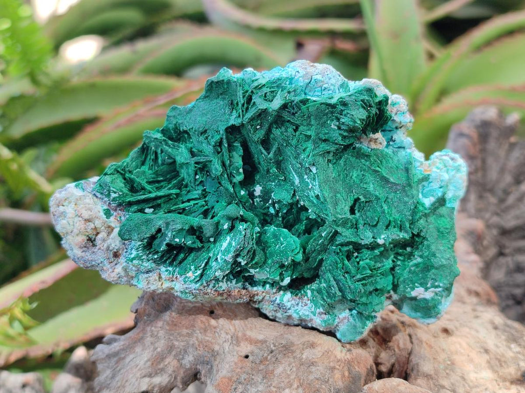 Natural Rare Malachite Pseudomorph Specimens with Associated x 2 From Kolwezi, Congo - Toprock Gemstones and Minerals 