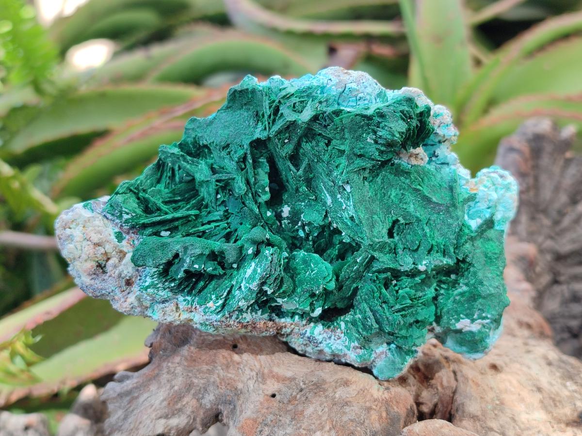 Natural Rare Malachite Pseudomorph Specimens with Associated x 2 From Kolwezi, Congo - Toprock Gemstones and Minerals 