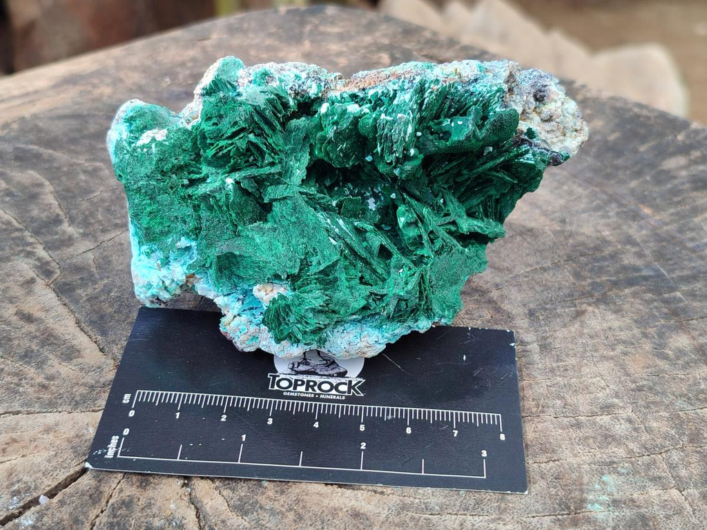 Natural Rare Malachite Pseudomorph Specimens with Associated x 2 From Kolwezi, Congo - Toprock Gemstones and Minerals 