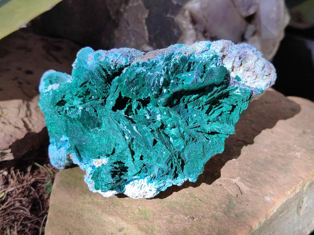 Natural Rare Malachite Pseudomorph Specimens with Associated x 2 From Kolwezi, Congo - Toprock Gemstones and Minerals 