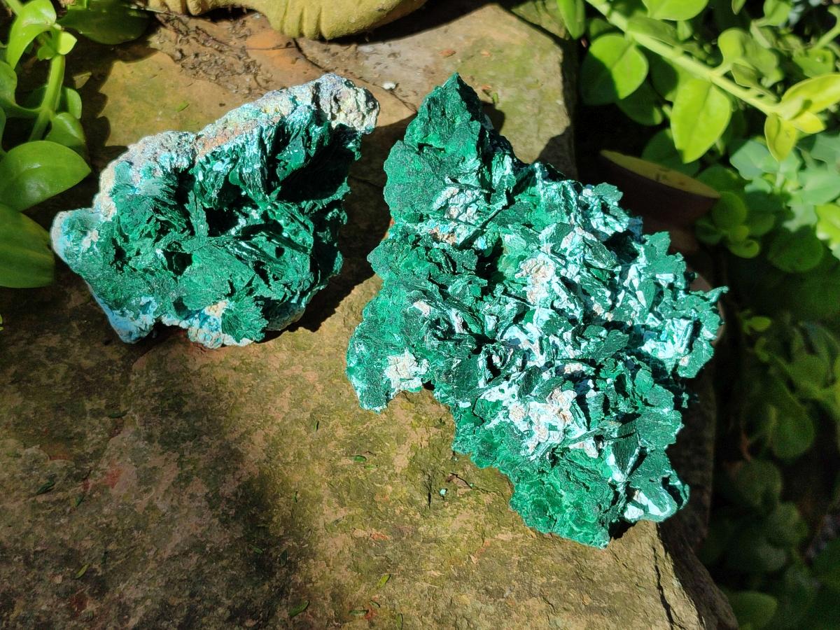Natural Rare Malachite Pseudomorph Specimens with Associated x 2 From Kolwezi, Congo - Toprock Gemstones and Minerals 