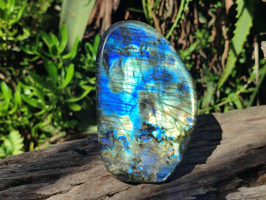 Flash Rocks Polished Rare Purple Sunset Flash Labradorite Standing Display Pieces ...