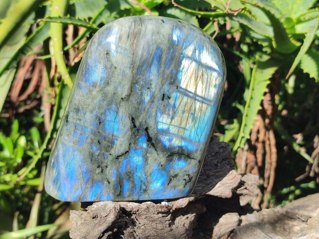 Polished Rare Purple Sunset Flash Labradorite Standing Display Pieces x 2 From Madagascar - Toprock Gemstones and Minerals 