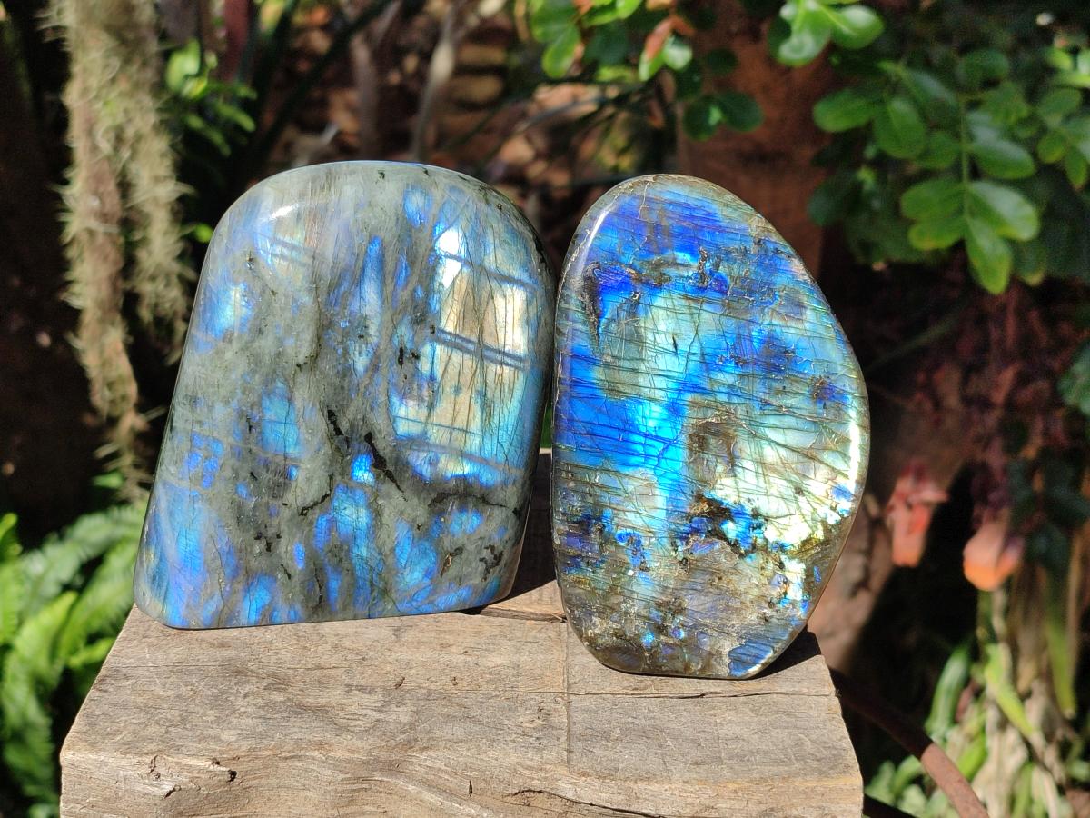 Polished Rare Purple Sunset Flash Labradorite Standing Display Pieces x 2 From Madagascar - Toprock Gemstones and Minerals 
