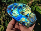 Polished Rare Purple Sunset Flash Labradorite Standing Display Pieces x 2 From Madagascar - Toprock Gemstones and Minerals 