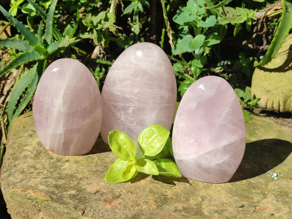 Polished Gemmy Rose Quartz Standing Display Pieces x 3 From Madagascar - Toprock Gemstones and Minerals 