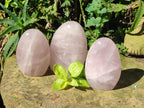 Polished Gemmy Rose Quartz Standing Display Pieces x 3 From Madagascar - Toprock Gemstones and Minerals 