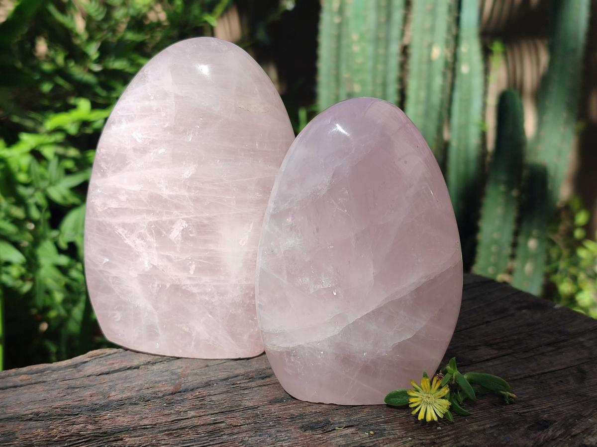 Polished Gemmy Rose Quartz Standing Display Pieces x 3 From Madagascar - Toprock Gemstones and Minerals 
