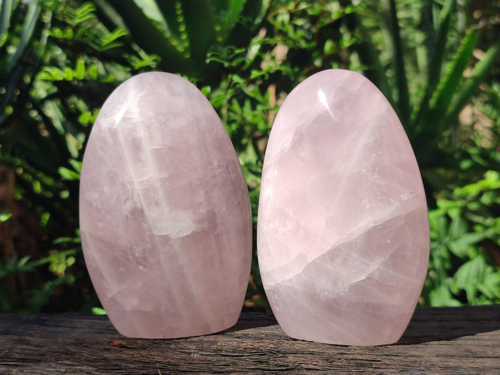 Polished Gemmy Rose Quartz Standing Display Pieces x 3 From Madagascar - Toprock Gemstones and Minerals 