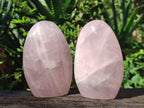 Polished Gemmy Rose Quartz Standing Display Pieces x 3 From Madagascar - Toprock Gemstones and Minerals 