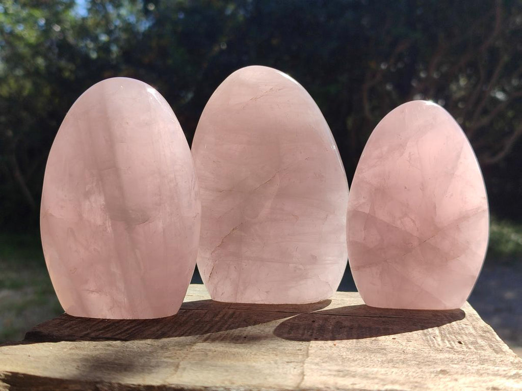 Polished Gemmy Rose Quartz Standing Display Pieces x 3 From Madagascar - Toprock Gemstones and Minerals 