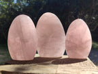Polished Gemmy Rose Quartz Standing Display Pieces x 3 From Madagascar - Toprock Gemstones and Minerals 