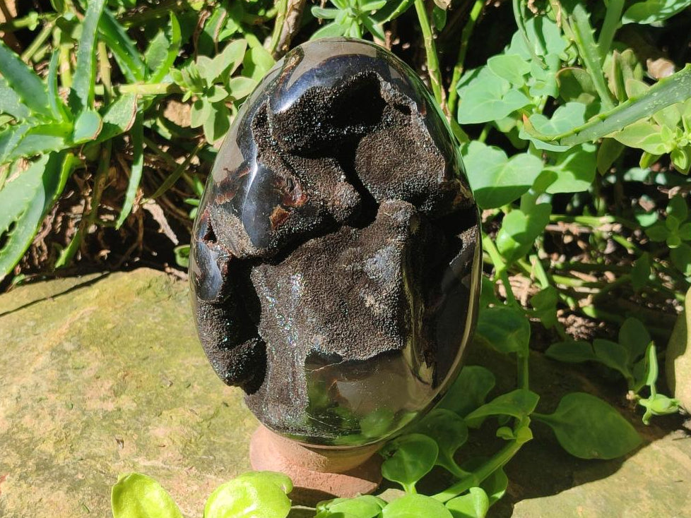 Polished Large Septerye Sauvage "Dragons Egg"  x 1 From Mahajanga, Madagascar - Toprock Gemstones and Minerals 