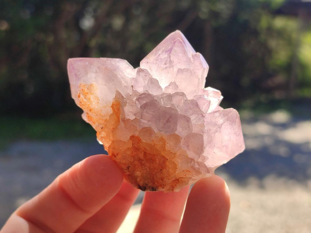 Natural Sunburst Spirit Amethyst Clusters x 12 From Boekenhouthoek, South Africa - Toprock Gemstones and Minerals 