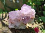 Natural Sunburst Spirit Amethyst Clusters x 12 From Boekenhouthoek, South Africa - Toprock Gemstones and Minerals 