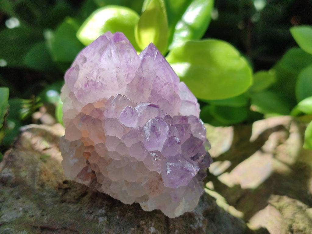 Natural Sunburst Spirit Amethyst Clusters x 12 From Boekenhouthoek, South Africa - Toprock Gemstones and Minerals 