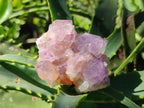 Natural Sunburst Spirit Amethyst Clusters x 12 From Boekenhouthoek, South Africa - Toprock Gemstones and Minerals 
