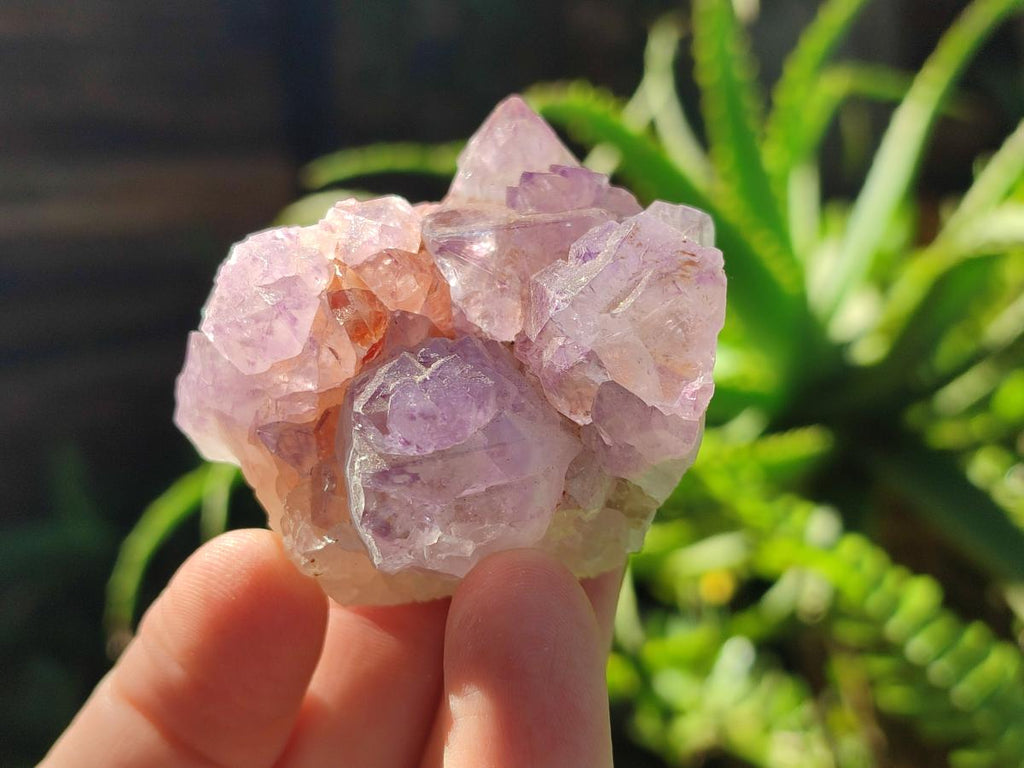 Natural Sunburst Spirit Amethyst Clusters x 12 From Boekenhouthoek, South Africa - Toprock Gemstones and Minerals 