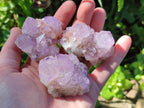 Natural Sunburst Spirit Amethyst Clusters x 12 From Boekenhouthoek, South Africa - Toprock Gemstones and Minerals 