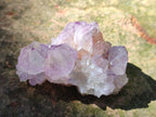 Natural Sunburst Spirit Amethyst Clusters x 12 From Boekenhouthoek, South Africa - Toprock Gemstones and Minerals 