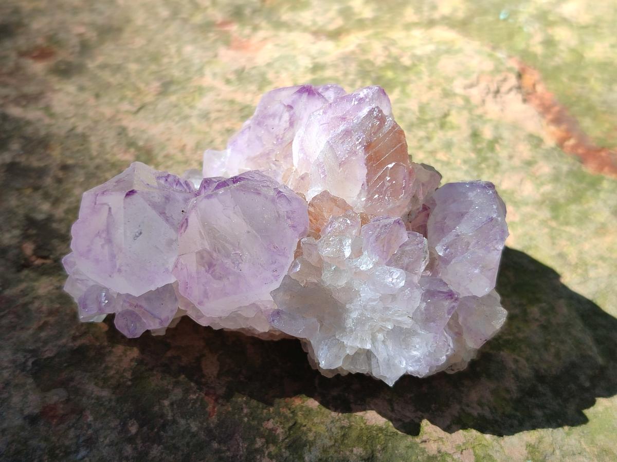 Natural Sunburst Spirit Amethyst Clusters x 12 From Boekenhouthoek, South Africa - Toprock Gemstones and Minerals 