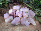 Natural Sunburst Spirit Amethyst Clusters x 12 From Boekenhouthoek, South Africa - Toprock Gemstones and Minerals 