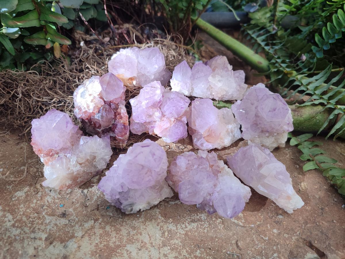 Natural Sunburst Spirit Amethyst Clusters x 12 From Boekenhouthoek, South Africa - Toprock Gemstones and Minerals 