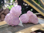Natural Sunburst Spirit Amethyst Clusters x 12 From Boekenhouthoek, South Africa - Toprock Gemstones and Minerals 