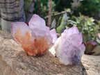 Natural Sunburst Spirit Amethyst Clusters x 12 From Boekenhouthoek, South Africa - Toprock Gemstones and Minerals 