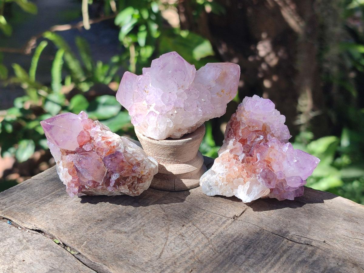 Natural Sunburst Spirit Amethyst Clusters x 12 From Boekenhouthoek, South Africa - Toprock Gemstones and Minerals 