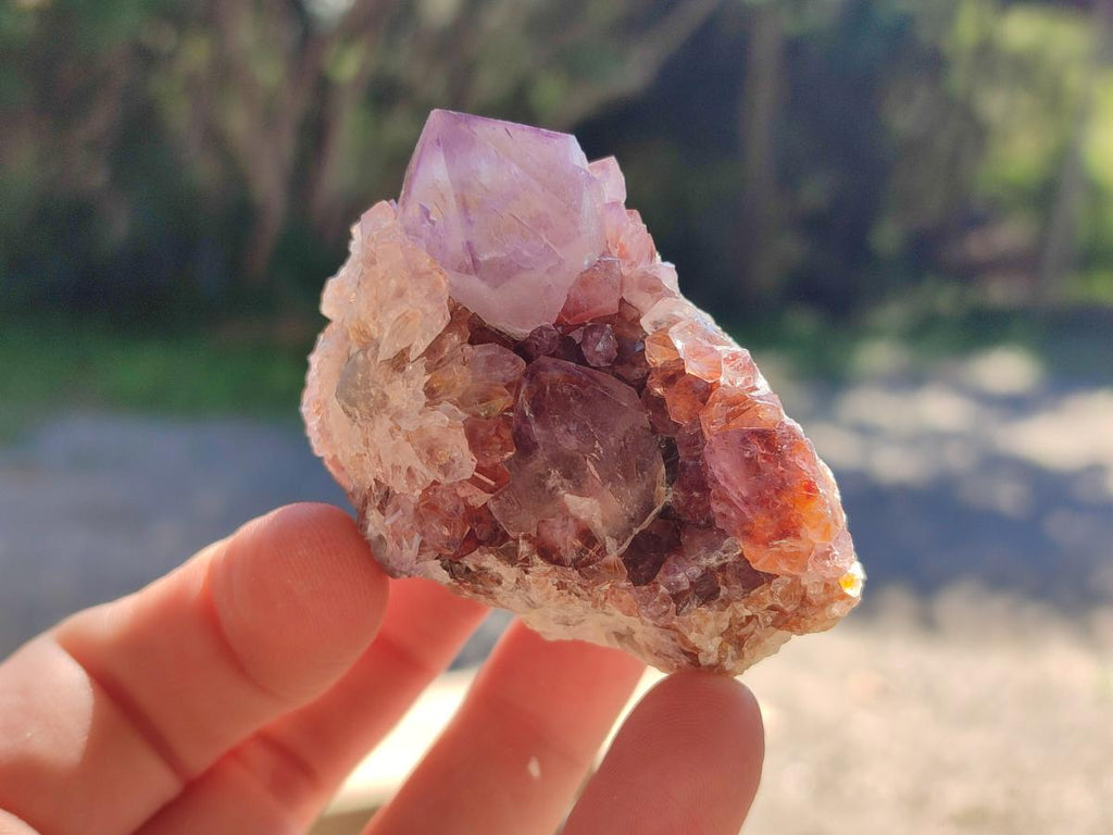 Natural Sunburst Spirit Amethyst Clusters x 12 From Boekenhouthoek, South Africa - Toprock Gemstones and Minerals 