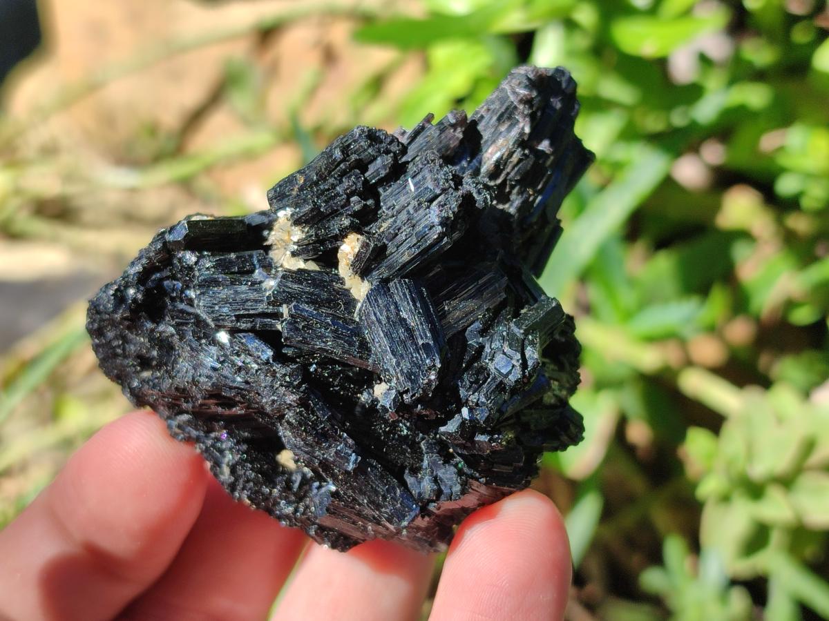 Natural Schorl Black Tourmaline with Muscovite Mica and Feldspar Specimens x 6 From Erongo, Namibia - Toprock Gemstones and Minerals 