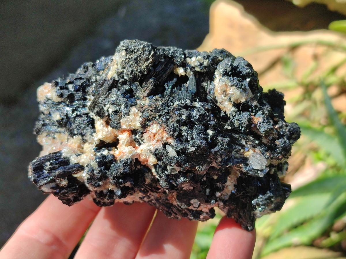 Natural Schorl Black Tourmaline with Muscovite Mica and Feldspar Specimens x 6 From Erongo, Namibia - Toprock Gemstones and Minerals 