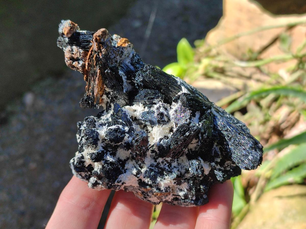 Natural Schorl Black Tourmaline with Muscovite Mica and Feldspar Specimens x 6 From Erongo, Namibia - Toprock Gemstones and Minerals 