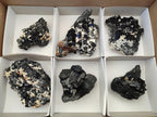 Natural Schorl Black Tourmaline with Muscovite Mica and Feldspar Specimens x 6 From Erongo, Namibia - Toprock Gemstones and Minerals 