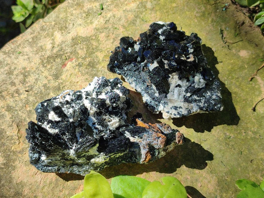 Natural Schorl Black Tourmaline with Muscovite Mica and Feldspar Specimens x 6 From Erongo, Namibia - Toprock Gemstones and Minerals 