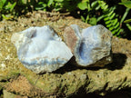 Natural Blue Lace Agate Geode Specimens x 24 From Nsanje, Malawi - Toprock Gemstones and Minerals 