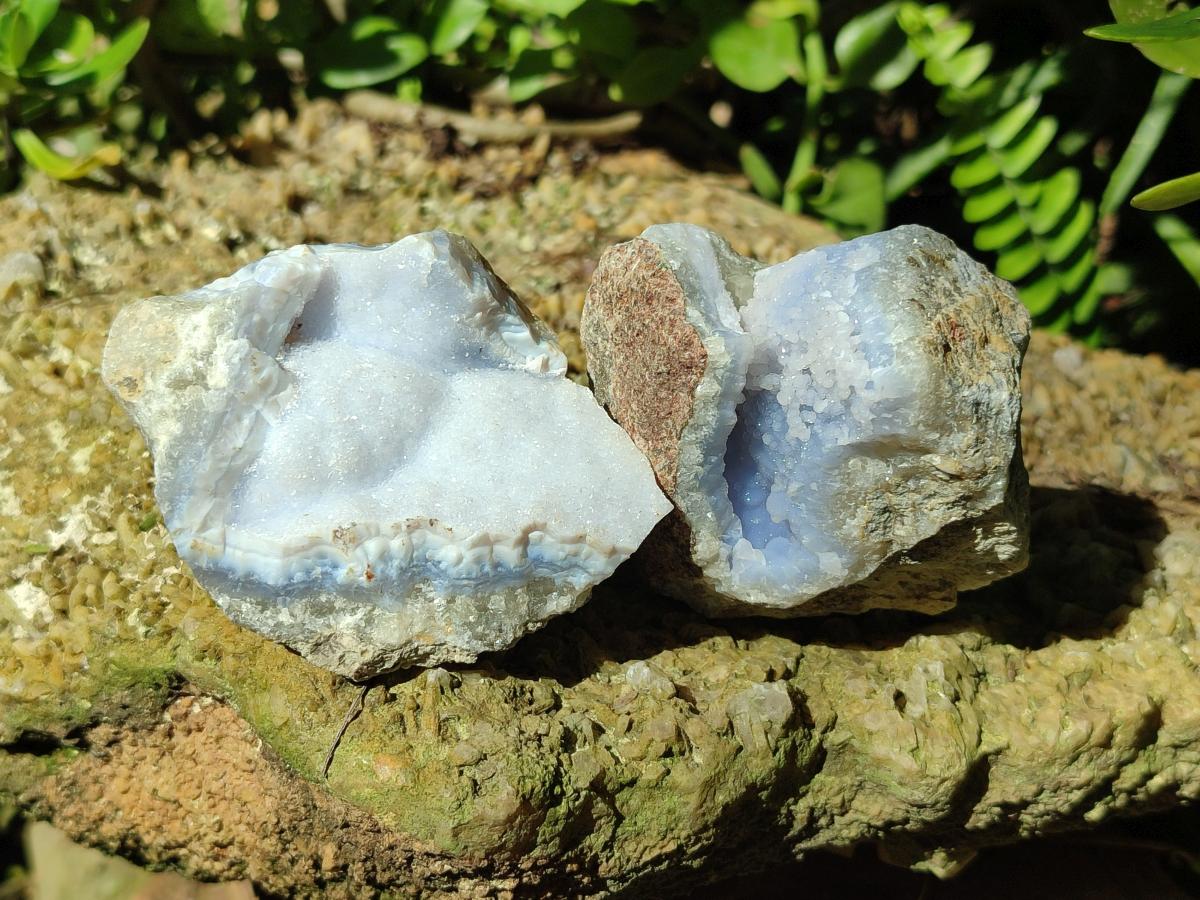 Natural Blue Lace Agate Geode Specimens x 24 From Nsanje, Malawi - Toprock Gemstones and Minerals 